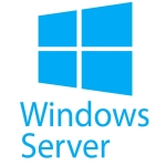 microsoft server - die ideale lösung!