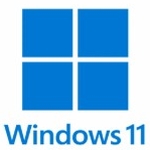 microsoft windows